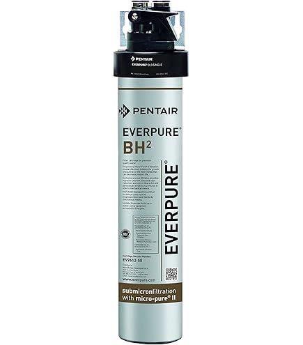 Amazon.com: Everpure EV961250 Bh 2 Cart 1Pk, Replacement Part for